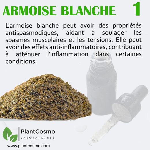 PlantCosmo LABORATOIRES HUILE ESSENTIELLE D'ARMOISE BLANCHE BIO 10ML - image 2