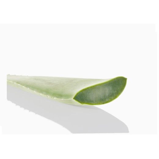 Byphasse Lotion Tonique Sensi-fresh À l'aloe Vera Peaux Sensibles- 500ml - image 2