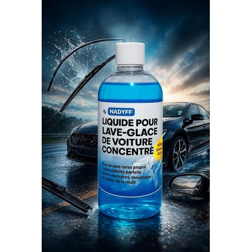 Generic Liquide lave-glace concentré – 500 ml
