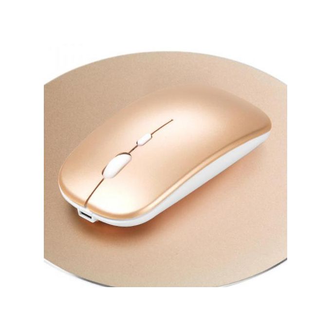 Generic Souris silencieuse Sans fil Bluetooth rechargeable portable USB 2,4  GHz à prix pas cher