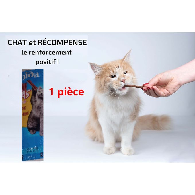 Generic Batonnets De Poulet Et De Foie Pour Chat Bonus Et Complementaire Pour Chat A Prix Pas Cher Jumia Maroc