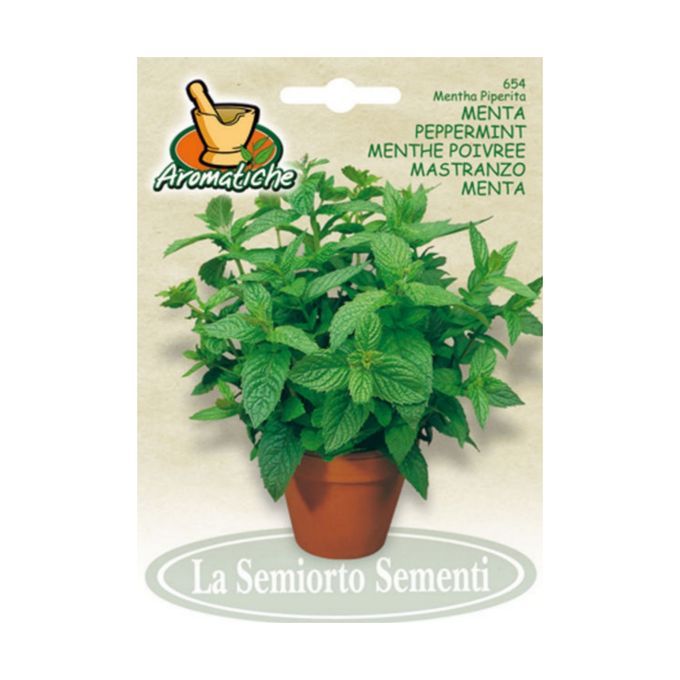Menthe poivrée - Pepper Mint - Plantopia Maroc