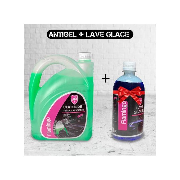 Generic pack antigel et lave-glace auto à prix pas cher