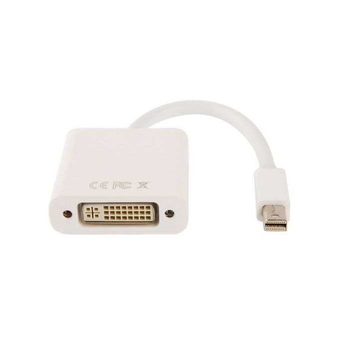 Storm Mini Display Port to DVI Female Port