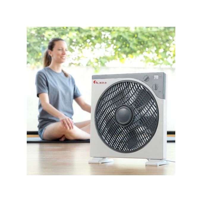 Alaska Ventilateur Au Sol Puissant Et Silencieux No Bruit 3