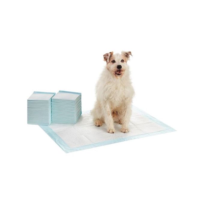 Tapis absorbant (Taille L/XL) pour chien – Animokdo