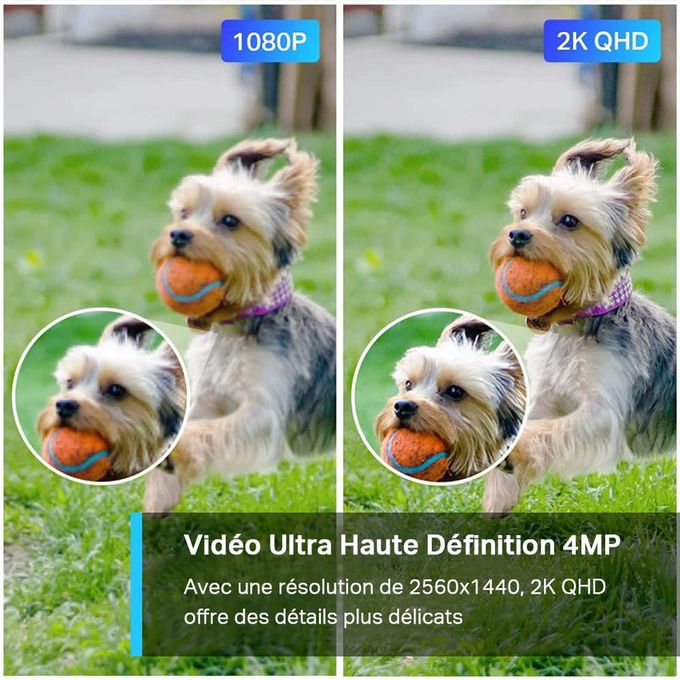 TP-Link Caméra de Surveillance WiFi Couleur en Nuit Audio Tapo C320WS  Outdoor ip 2K sans Fil 4MP COLOR QHD à prix pas cher | Jumia Maroc
