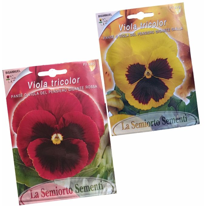 la semiorto sementi 2 sachets Graines fleures Pensée, Viola tricolor rouge  et jaune à prix pas cher | Jumia Maroc