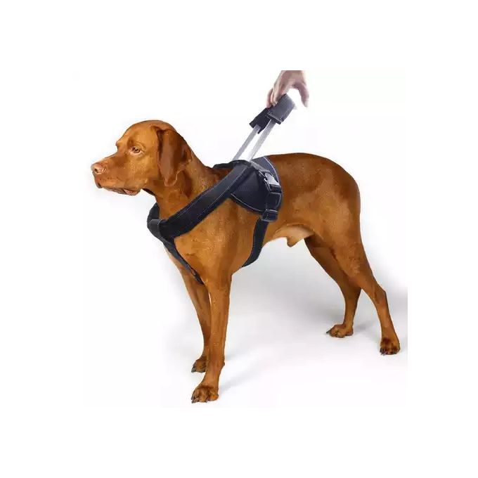 Generic Pour Animaux De Compagnie Chien Gilet Harnais Pour