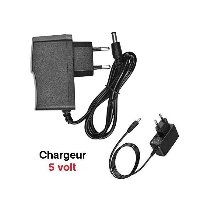 Chargeur secteur Pin 5V/2A - Danew