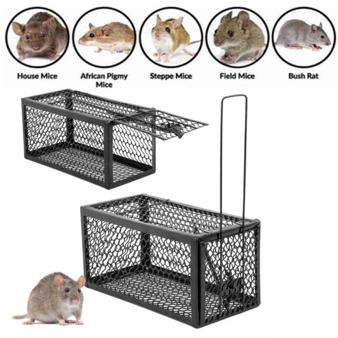 Generic Piége À Souris Cage-Noir - Prix pas cher