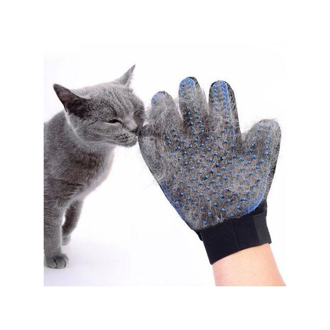 Generic Gants Pour Chats Et Chiens A Prix Pas Cher Jumia Maroc