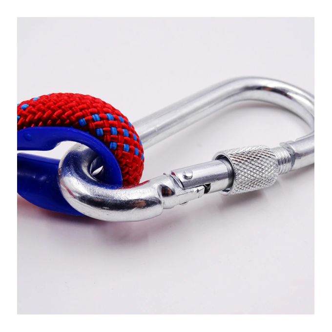 Mini mousqueton portable de type S, escalade, crochet de sécurité pour  touristes, en acier plastique, sport en plein air, accessoires  multifonctions