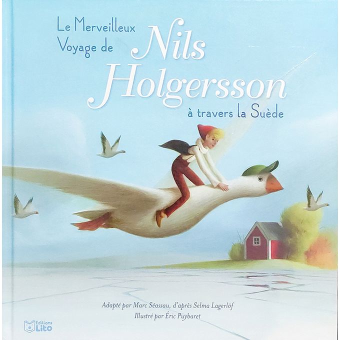 Le Merveilleux Voyage De Nils Holgersson Dessin Animé