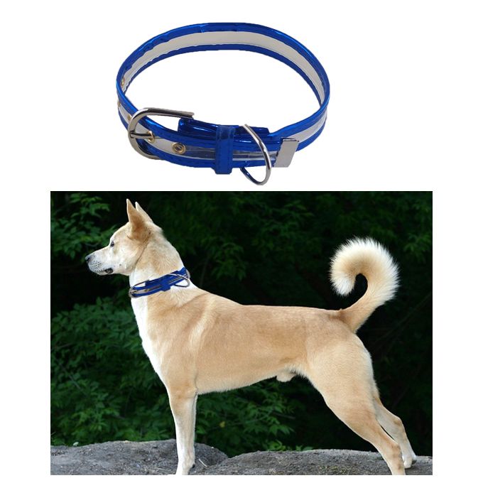 Ceinture pour animaux de compagnie, Collier pour chat et chien, Pour un  beau look a votre animal