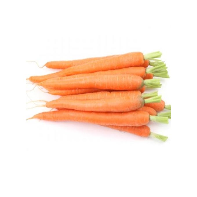 la semiorto sementi graines de potagers carotte et navet marteau a prix pas cher jumia maroc