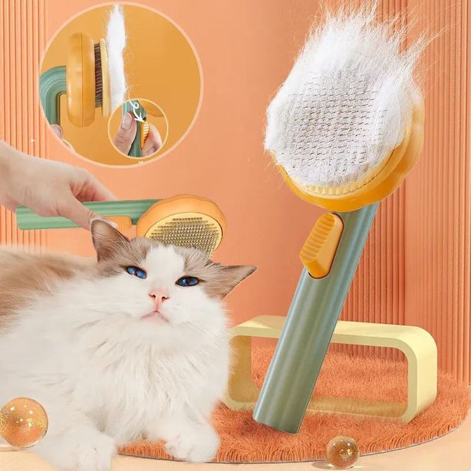 Peigne d'élimination des poils d'animaux, brosse de chiens et de chats,  outil de toilettage, peigne d'épilation pour chiens et chats, ✓ Meilleur  prix au Maroc