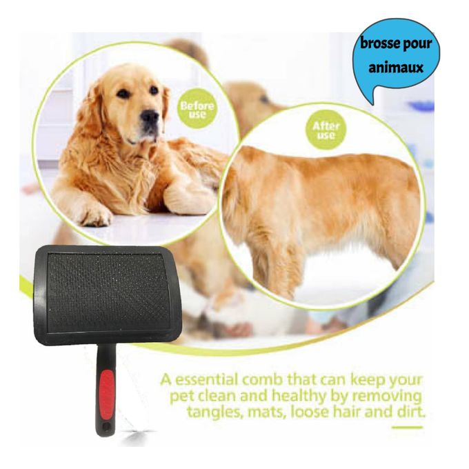 Brosse à démêler pour chien - Le Salon Essentials