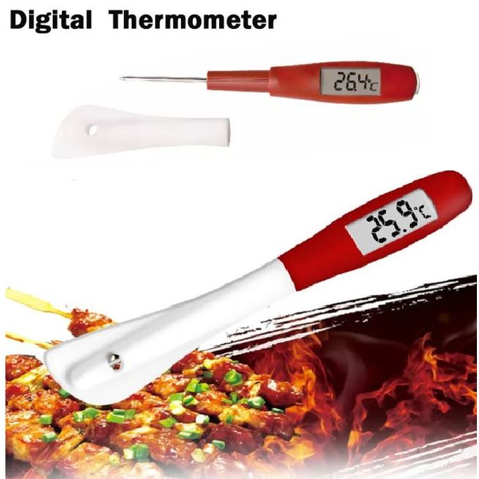 Thermomètre à spatule numérique, Thermomètre à Sonde digital -50°C à 300°C