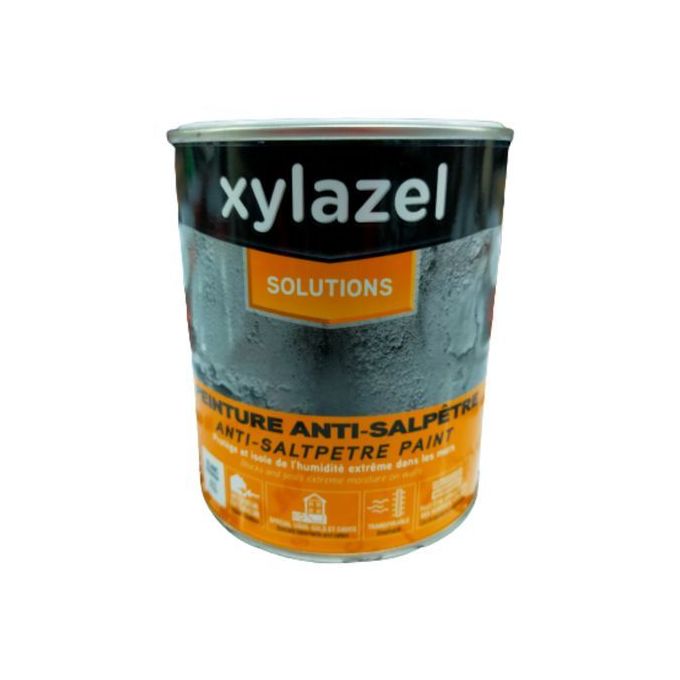 XYLAZEL Peinture Anti-Humidité bloque les taches d'humidité et évite  l'apparition de salpêtre à prix pas cher