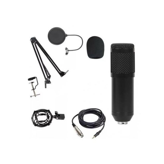 Microphone de studio avec support