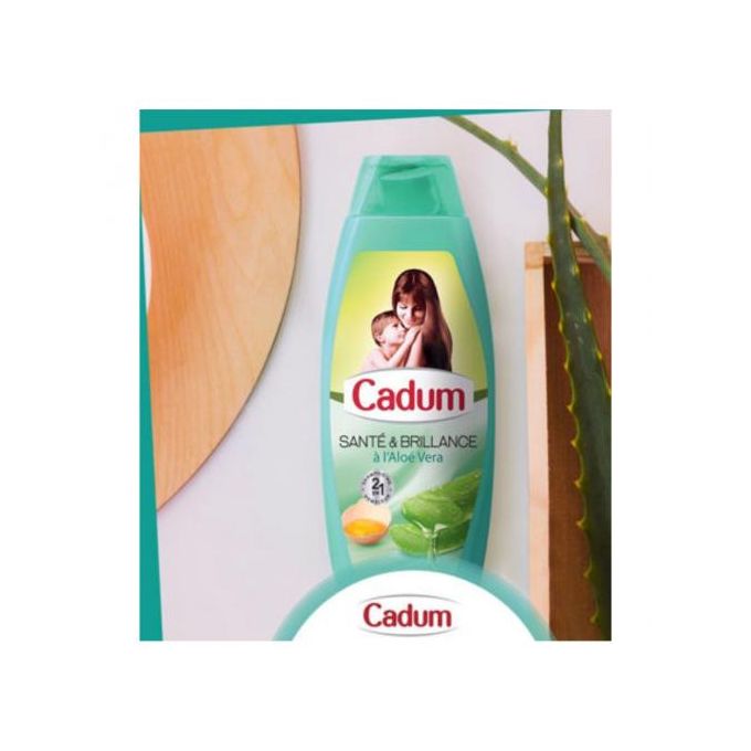Cadum Shampoing santé & brillance à l'aloé vera 380ml - CADUM à prix pas  cher
