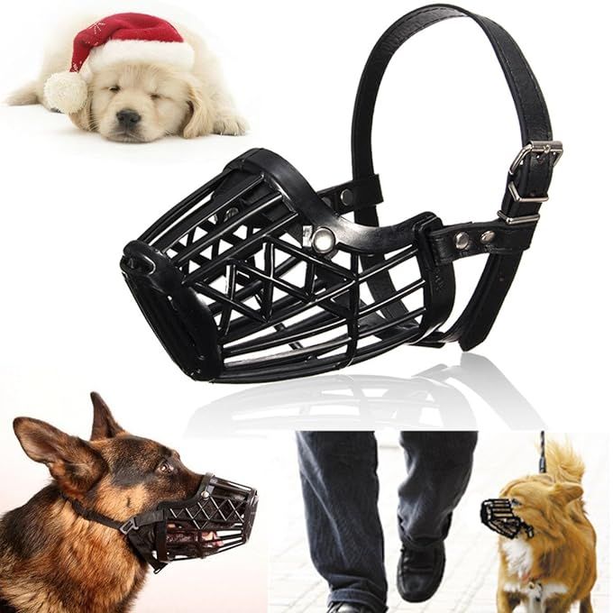 Équipement d'agilité pour petits et grands chiens, entraîneur  professionnel, mordre, Foy - AliExpress