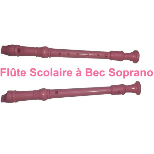 Flûte Scolaire à Bec Soprano,En Plastique - Doigté Moderne,Rose