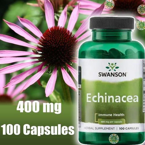 Echinacea, 400 mg, 100 Capsules, Santé immunitaire