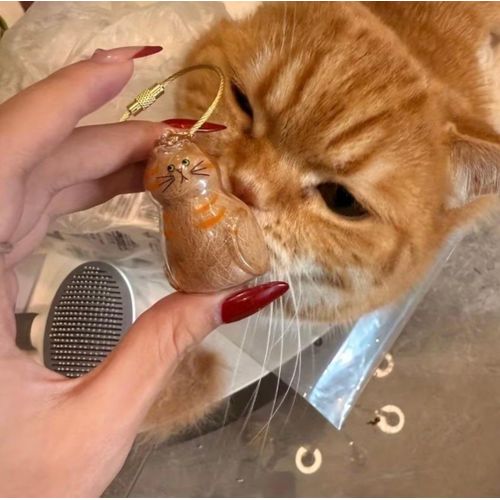 Porte-clés souvenir avec les poils de votre chat – Gardez votre compagnon toujours près de vous