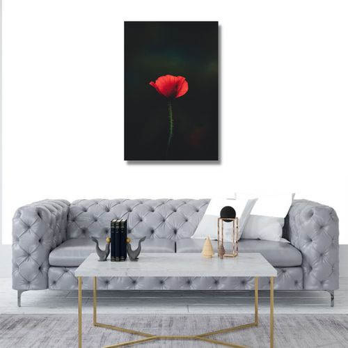 لوحة فنية صورة حائطية 50 سم/ 33 سم - HD