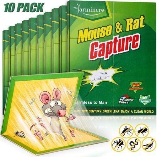 Plaques adhésives puissantes pour capture de souris et insectes – Pack de 10 – Efficace, sûr et facile à utiliser