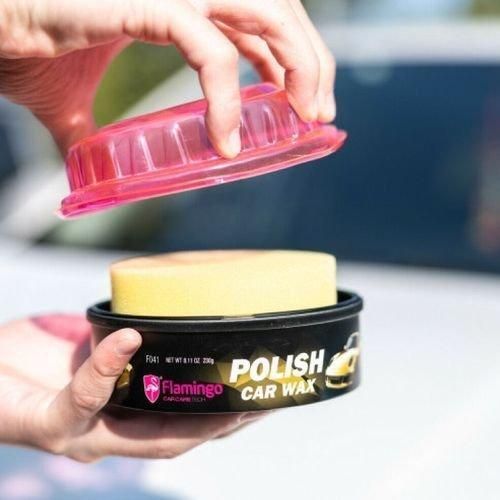 Polish Cire pour vernis de voiture, 230g, très longue durée, haute brillance