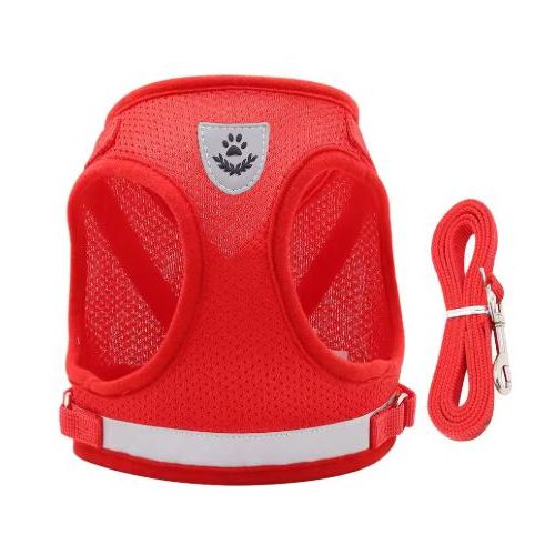 Harnai Gilet M pour Chat et Petit Chien avec Laisse – Maille Respirante Réfléchissante